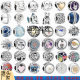 Pandora S925 Sterling Silver Animal Series Lion Camera Turtle Pineapple Bracelet Beaded DIY Accessories