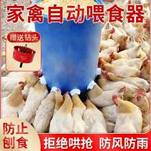 ���Ԅ�ιʳ��С�u���Z�������Ͱι�u��������ʳ���u�Ԅ�������