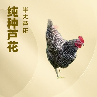 ���ϼ��N�J���u2����u�����J���u�r����wÓ��С�u�������u��