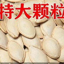 ϹӃɴwϹɢbFԭζ㽷}ȺľӰb