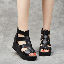 ţƤŮЬ�ļ��¿��¸��ɸ��Ь����n�����e�~���_�R��Ьƽ��