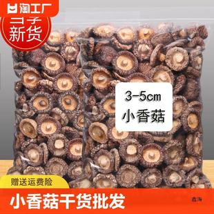 ���㹽��؛���l�a��С�㹽Ģ������Ҝ����r���鹽���X��