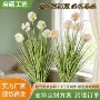 客厅代发跨境摄影假花
