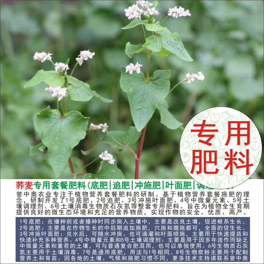 50�����а�����ר���л��ʸ��Ϸʵ׷�׷��Ҷ��ʳ�ʩ��ˮ�ܷ�