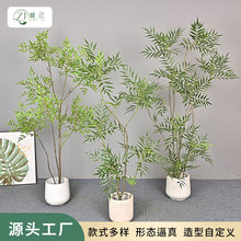 ������ֲʮ����������ֲ���辰�����쾰�����Ҿ�װ����ػ���