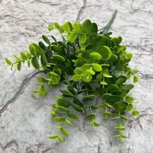 ����ֲ� ����С�� ��ƺ΢���^�r���b� 5�漚�~�����ȼ���