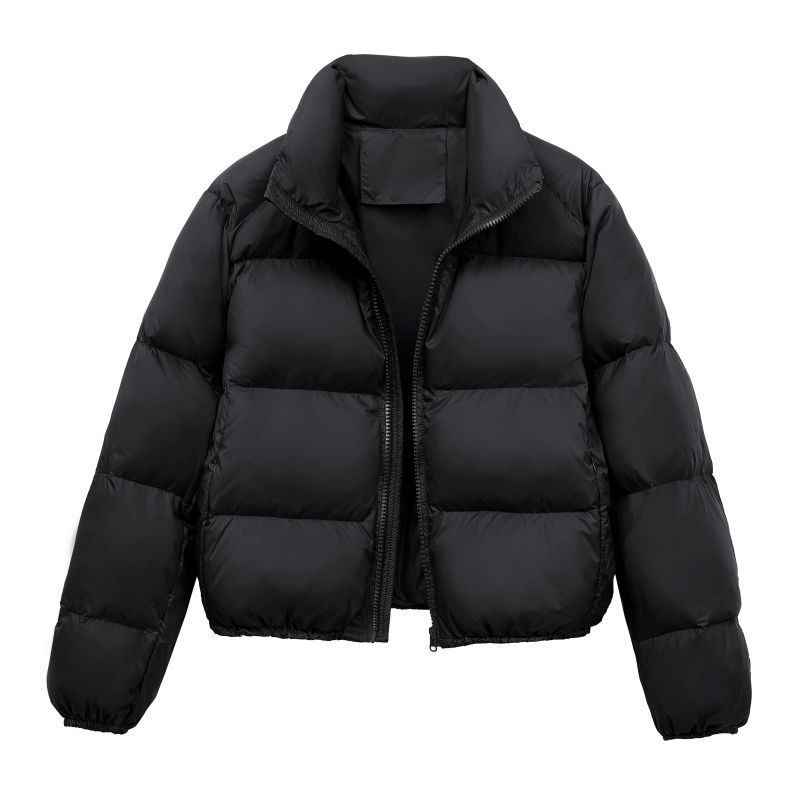 2025 Winter New European Kendall Jenner Style For Women Short Small Size White Duck Down Thickened Coat Puffer Jacket_voghion.com