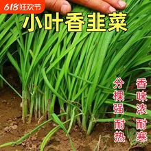 ²˷NƷNС~ļԴ̨߲С~Nֲϸ