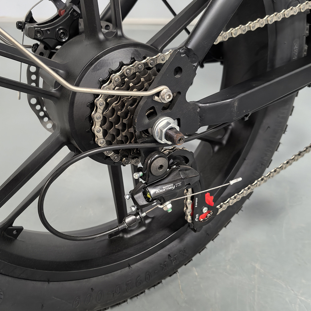 20-inch Fat Tire Off-Road Snow Beach Integrated Wheel Electric Bicycle