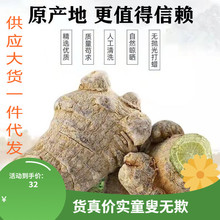 文山三七正宗无剪口云南田七三七墨绿色切片磨粉10头20头30头药材