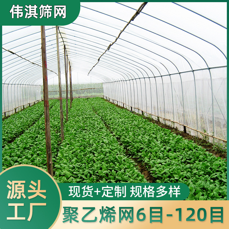 供应农用菜田防虫网 菜农防虫网 聚乙烯防虫网
