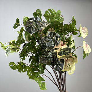 ���������~�Ҿ��b�ɭϵ��Y���������~�Gֲ���Է���ֲ����������