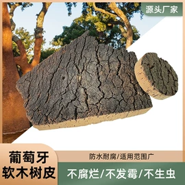 餐垫、杯垫;其他木质材料;造景/装饰