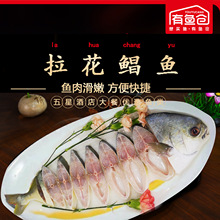 速冻新鲜拉花金鲳鱼 富贵鲳鱼 银昌鱼酒店批发商用功夫火锅功夫鱼