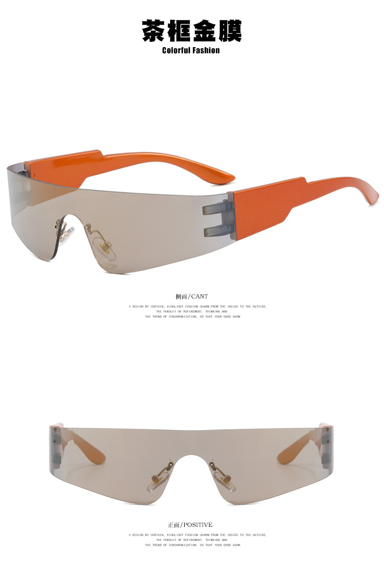 Sunglasses (1)_11.jpg