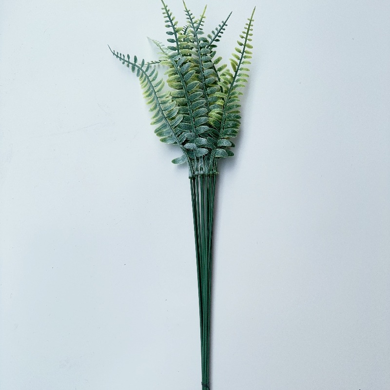 단일 페르시아 잎