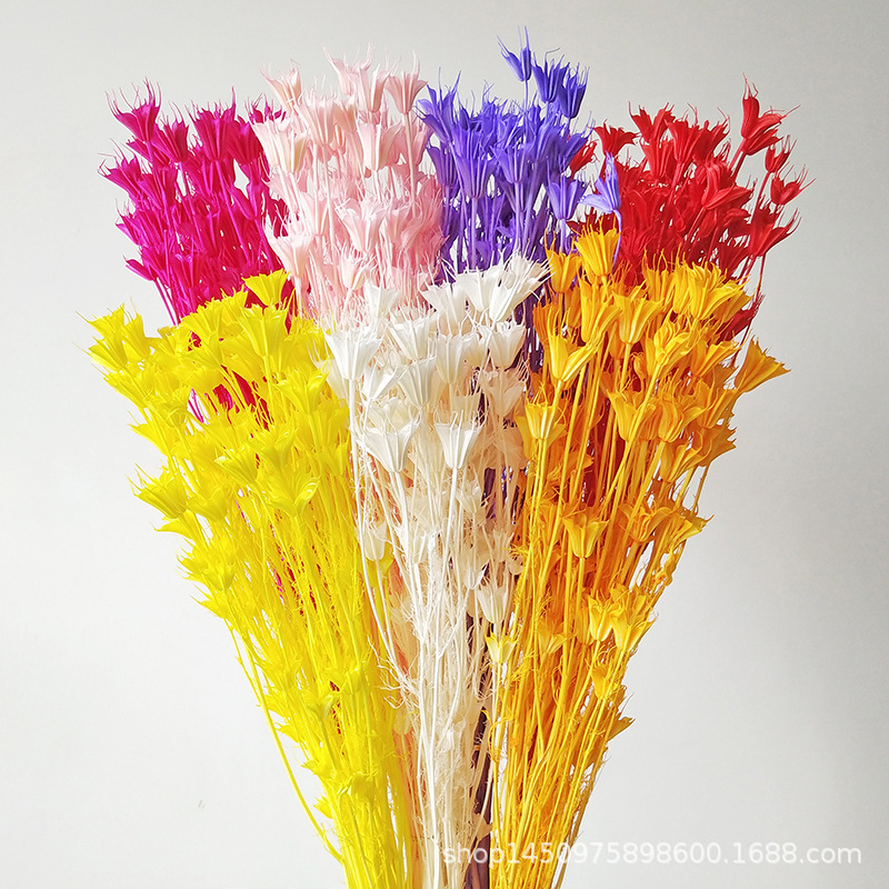 Dried flowers octagonal flowers Eternal Flowers bouquet wholesale small fresh art creative plant decorative flowers shooting props