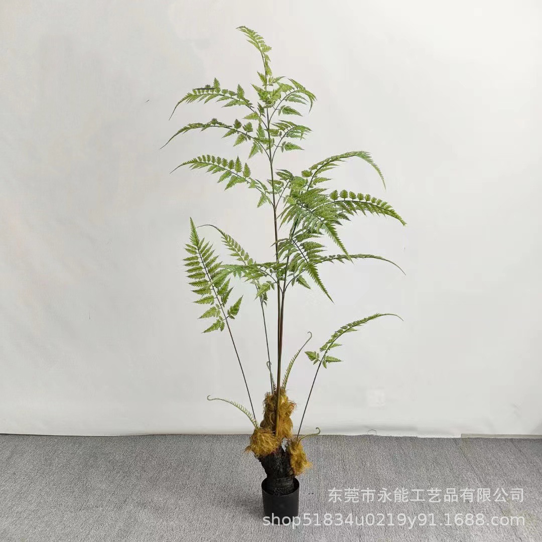 13666e308255cdfa00038f8cba9546