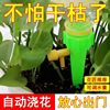 Lazy automatic flower -watering artifact waterflower watering device drip irrigation can adjust the drip drip water seepage device flow velocity water water watering land