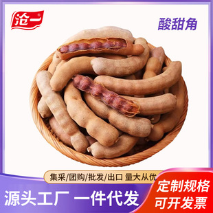 ���������خa���r���Ұ���������ʳ�����ᗗ���_�������𽡿�