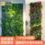 门头米兰加密组合绿植
