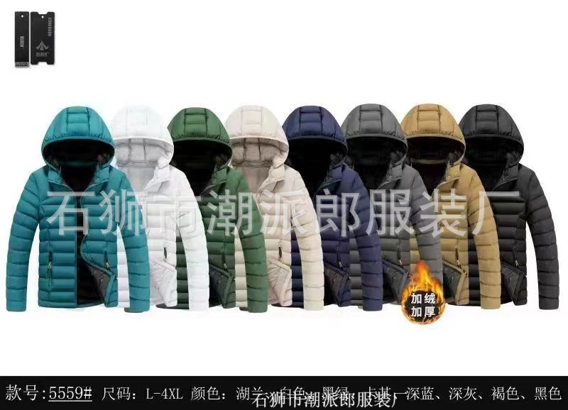 Demi-season keep warm down jacket with hood