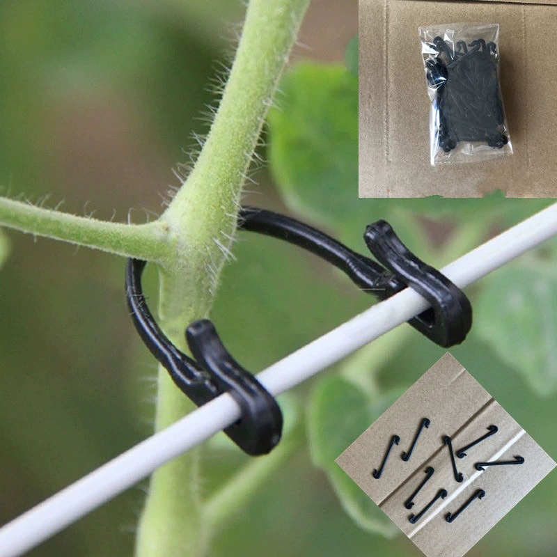 Садоводство галстук проволока, виноград галстук филиал галстук проволока галстук лозы галстук провод галстук 50 pack