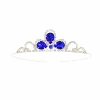 ST123 Blue Crown
