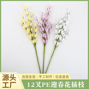 �羳����12�PEӭ������֦�Ҿ��b¼ٻ��Gֲ�[��С���~�b��̈�