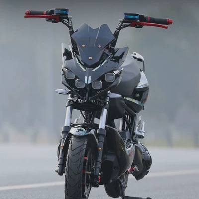 Customized Wolf Warrior Electric Vehicle Geek Elektrikli motosikletlər