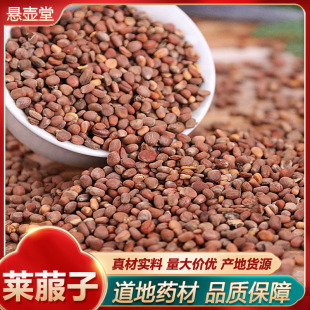 ���l�R�����R�����}���� ��ș����֦����֦�� �����������ϙ��