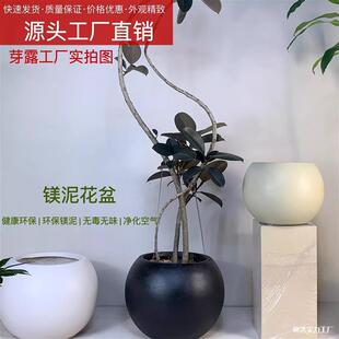 �ֵins�L�V���A���μҾ��k���Һ��s����ǧ��ľ��ش��ͺڽ���