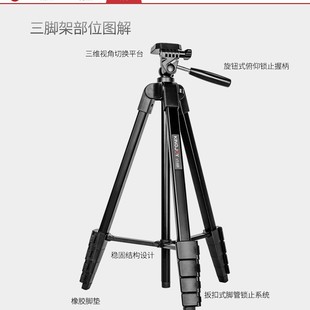 �羳�¿��Ĕz��y�X�Ͻ����_�ܶ๦��3D�̨���C�Ĕz֧���֙C֧��