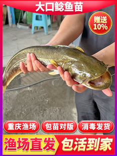 �Ϸ�����T�~����ˮ��ˮ�Bֳʳ�û��w���T���T�~����T���X�T�~��