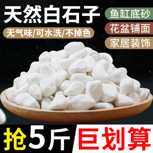 �b�ʯ�^����Сʯ���Z��ʯ�Z��ͥԺ�껨��Ȼ��ʯ�쾰�������໨