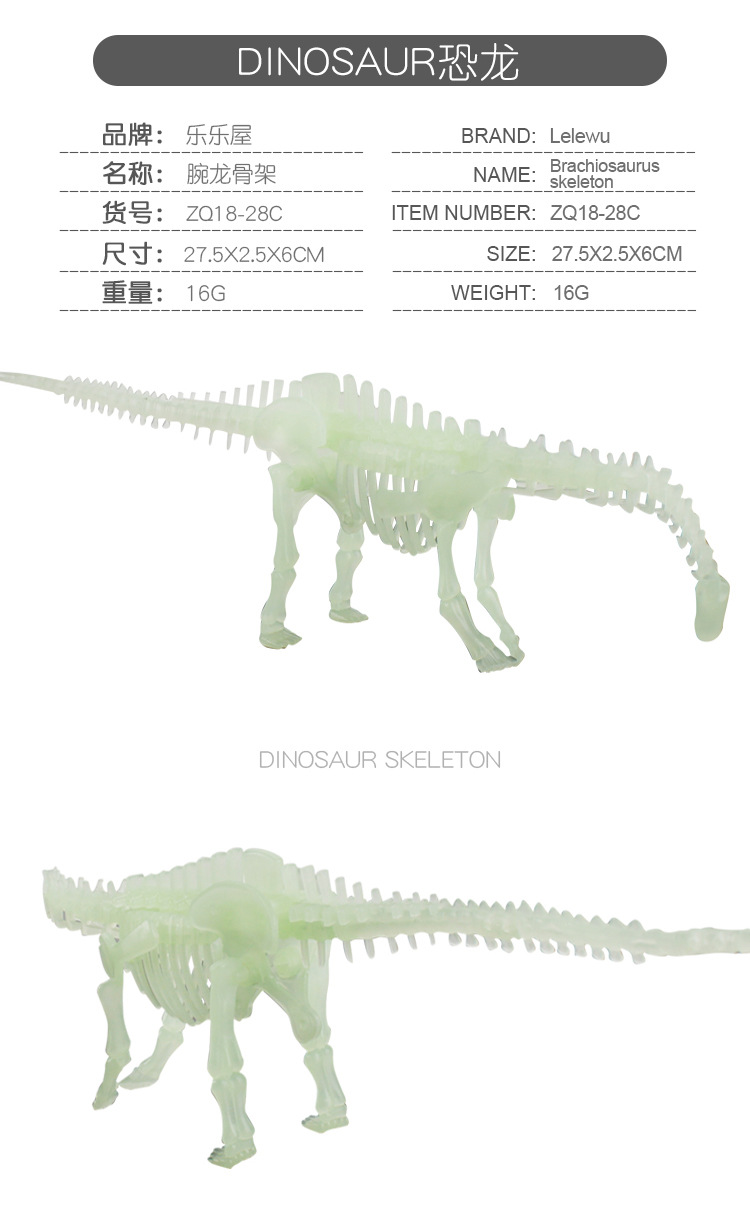ZQ18-28夜光恐龙骨架_05.jpg