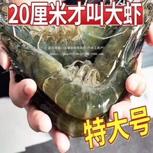 对虾海鲜青岛海捕冻虾冷冻非大虾鲜活大鲜鲜大虾基围虾大虾