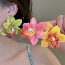 ���벼�յν��������С�ڸ߼��ж����������ᾫ��ʱ��ͨ�ڶ���Ů