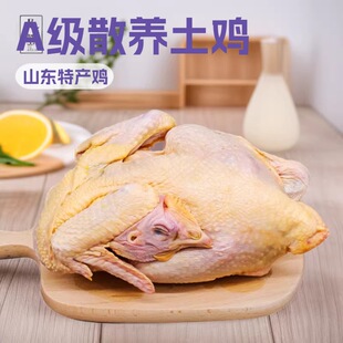 �����r�����S�u�u�����r������uA��ɢ�B���u����u��ʳ��