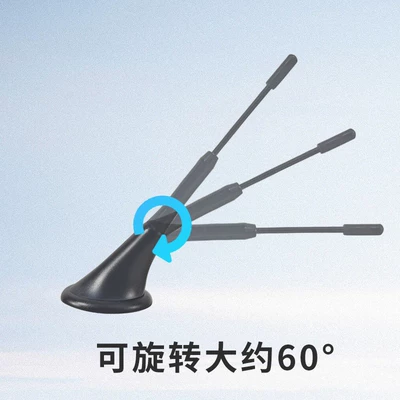 vehicle antenna decorative antenna for vehicles, no