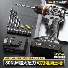 无刷手电钻大钢炮大功率家用充电式锂电钻多功能电起子跨境批发
