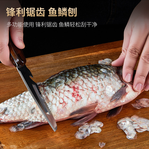 Kitchen stainless steel multifunctional wooden handle paring knife household fruit peeling vegetable peeling and fish scale removal tool