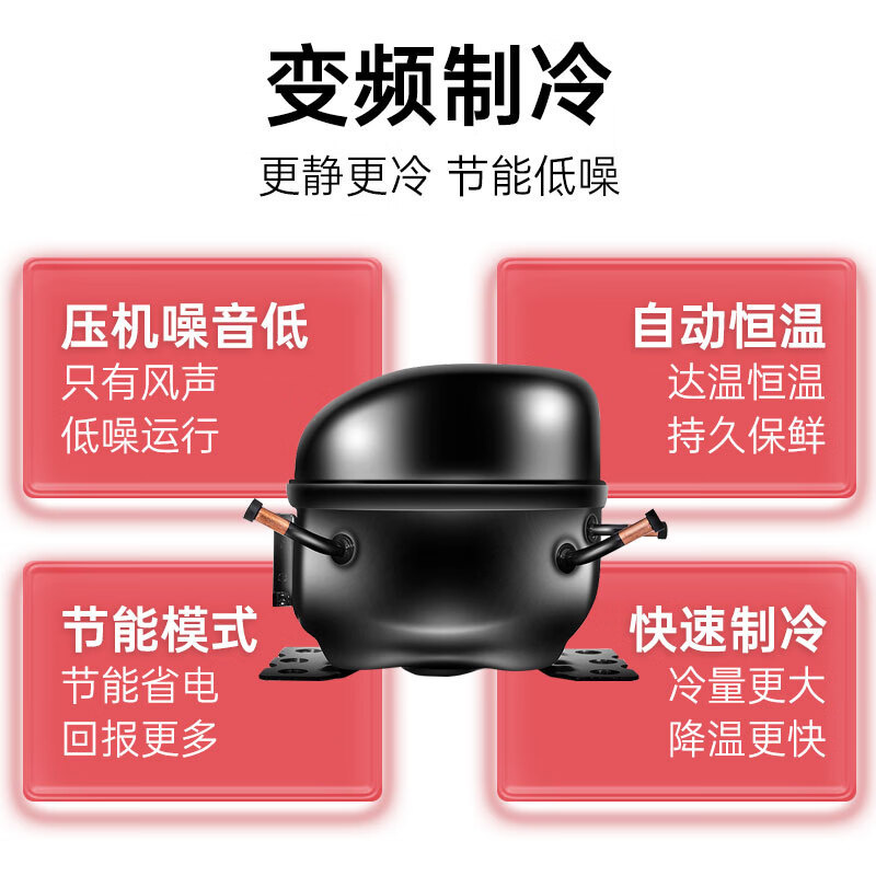 Internet celebridad floristería conversión de frecuencia ahorro de energía gabinete de mantenimiento fresco refrigerado por aire libre de heladas pantalla completa gabinete de la boda flores congelador vertical