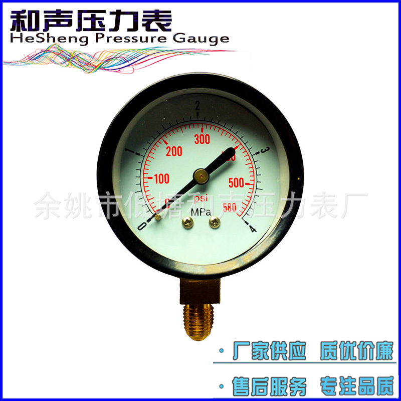 ���ҹ�Ӧ��ͨѹ����Y80����10KG�����ѹ������ձ���ѹ��