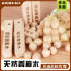 Camphor Balls Wardrobe Mildew-Proof Insect Repellent Moisture-Proof Deodorant Insect Repellent Anti-Cockroach Aromatherapy Bag Natural Camphor Wood Strips Ball