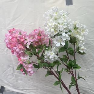 ���滨����ޱ���Ҿӻ�Y�b�֦���滨��c���߲���쾰����