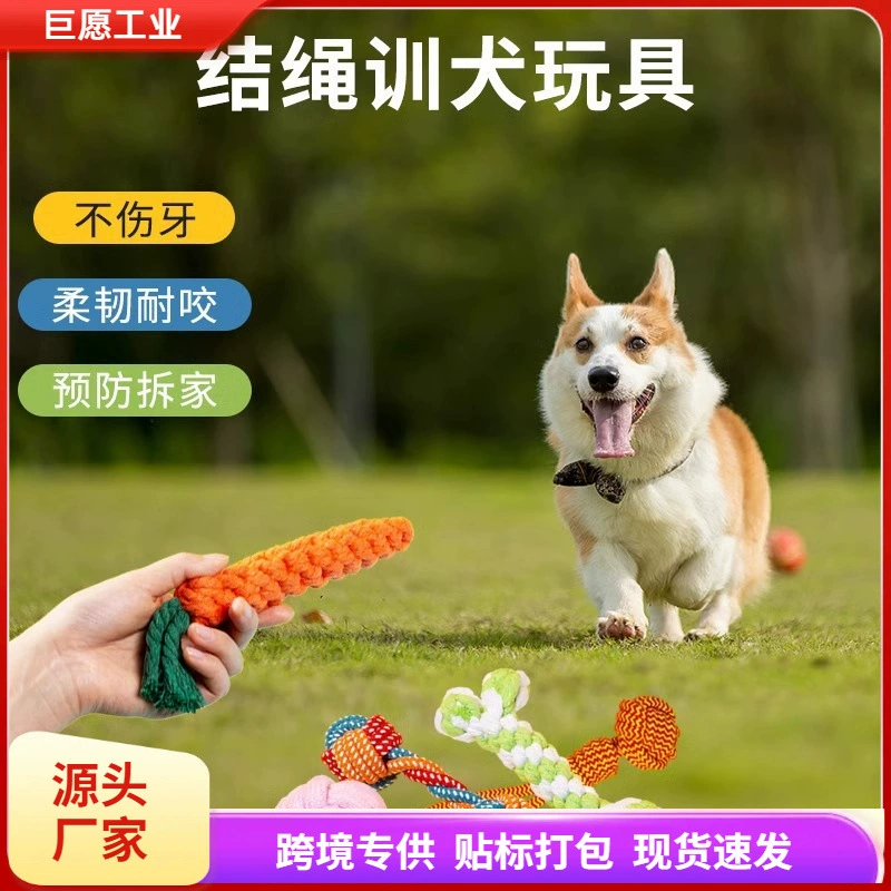 Собака игрушка Собака кусает веревку веревку для шнурка с золотистыми волосами Тедди Бомей щенки большие и маленькие собаки игрушки для животных