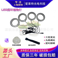 ȫ���VLED�A�hֲ��� ��ɫ׃��ɶ��r���ܾGֲ���L���ֲ���a���