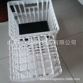 厂家白色塑料鸡蛋筐 加厚塑料筐 鸡筐图片 万兴畜牧