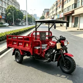 正三轮摩托车;两轮摩托车;沙滩车